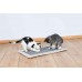 Trixie Scratching Mat Когтеточка коврик для кошек 55 х 35 см  (43110)